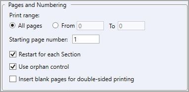Illustration SI Explorer's File Menu - Process and Print/Publish: Options Tab - Pages and Numbering